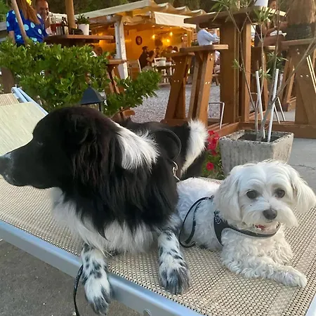 Alojamento de Acomodação e Pequeno-almoço La Sul Garda